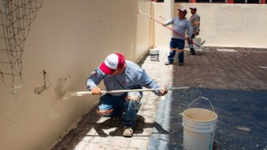 GOBIERNO DE ESTEFANíA MERCADO SUMA 84 PARQUES 2