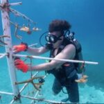 PHOTO 2025 07 04 10 57 33 1