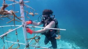 PHOTO 2025 07 04 10 57 33 1