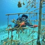 PHOTO 2025 07 04 10 57 33