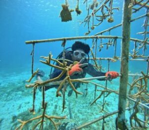 PHOTO 2025 07 04 10 57 33