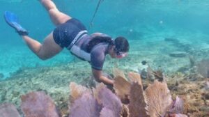 PHOTO 2025 07 04 10 57 34 1