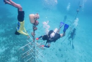 PHOTO 2025 07 04 10 57 34