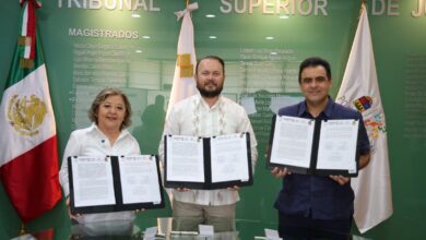 PHOTO 2025 07 08 19 47 31