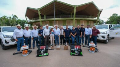 PHOTO 2025 07 08 19 52 33